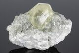 Calcite Crystal Cluster with Marcasite - Iowa #176029-2